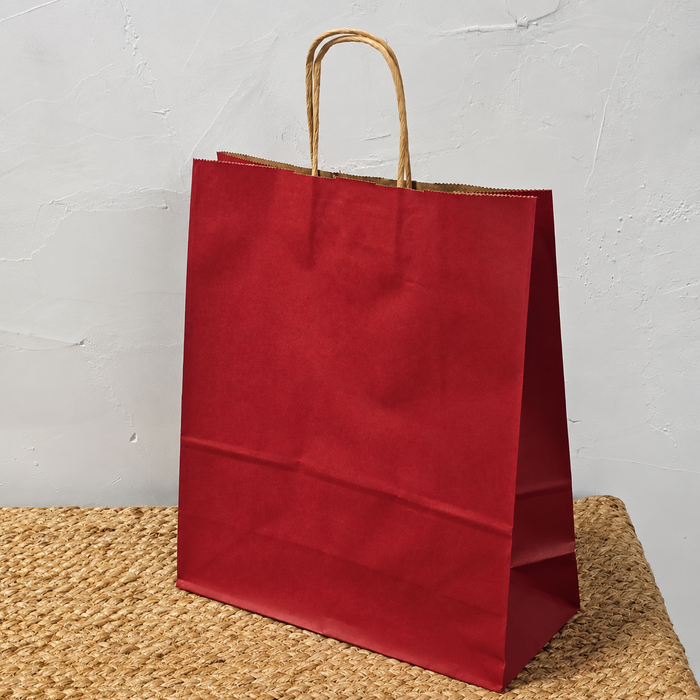 Big Size  Premium  Shopping Bags with Twisted Handles | Big Size 13 × 10 × 5 Inches | Multiple Colours