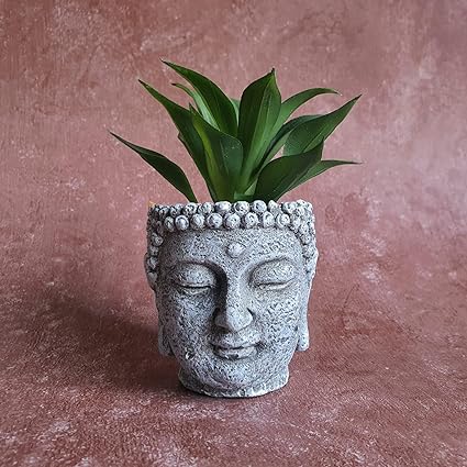 1 PC Mini Artificial Green Succulent with Aesthetic Ceramic Pot, Indoor Faux Flower Plant to Add Charm to Your Home Decor, Perfect for Gifting, Elegant Shelf, and Office Desk(Pack of 1)