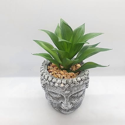 1 PC Mini Artificial Green Succulent with Aesthetic Ceramic Pot, Indoor Faux Flower Plant to Add Charm to Your Home Decor, Perfect for Gifting, Elegant Shelf, and Office Desk(Pack of 1)