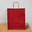Big Size  Premium  Shopping Bags with Twisted Handles | Big Size 13 × 10 × 5 Inches | Multiple Colours