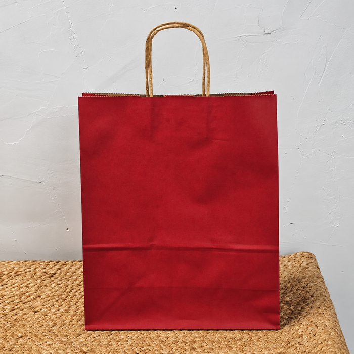 Big Size  Premium  Shopping Bags with Twisted Handles | Big Size 13 × 10 × 5 Inches | Multiple Colours