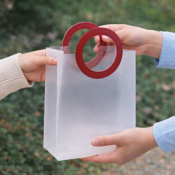 Translucent Bags Goodie Bags With Handle Gift bag, hamper bag, Carry Bags, shopping gift bag for Gifting, Presents, Packing, Return Gifts, Birthday, Events (Medium) (22x21cm)