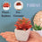 Succulent Small Mini indoor Plants with aesthetic cement pot(1 set =3pcs), Artificial Plant, indoor flower Plant with Pot