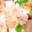 Artificial Cherry Blossom Rattan Flowers Wall Hanging Decorative Vine String Lines Items for Diwali Decoration, Backdrop for Pooja Room, Home Decor (230 cm)
