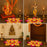 Rajawadi Star and Hexagon Flower Pom Pom  Design Rangoli, Easy to Use. Just Set up with your own choice and make Rangoli for Floor Home Janmashtami  Ganpati Diwali Decoration DIY
