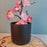 1 Pc Artificial Blossom Flower Stick with Plastic Pot Flower Pot for Home Decor, Living Room, Gifting, Table Top, Showpiece, Balcony, Raksha Bandhan Gifting(Pack of 1)(with Pot)