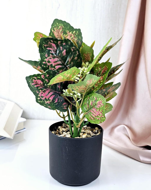 1 Pc Artificial Aglaonema Plant with Vase Display for Home Decor, Room, Balcony, Welcome Decoration Item,Realistic Look for Gifting,Ganpati Decoration,Raksha Bandhan (with Vase)