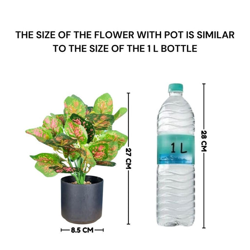 1 Pc Artificial Aglaonema Plant with Vase Display for Home Decor, Room, Balcony, Welcome Decoration Item,Realistic Look for Gifting,Ganpati Decoration,Raksha Bandhan (with Vase)