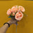 1 Pcs Artificial Rose Peony Fake Flowers Sticks Bunch Decorative Items for Home Decor & New Year Decoration Plants (Without Vase Pot)