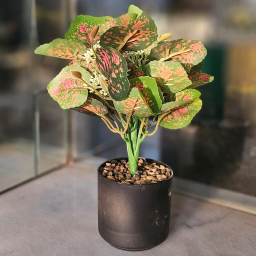 1 Pc Artificial Aglaonema Plant with Vase Display for Home Decor, Room, Balcony, Welcome Decoration Item,Realistic Look for Gifting,Ganpati Decoration,Raksha Bandhan (with Vase)