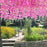 (43.2 inch) Artificial Wisteria Vine Ratta Fake Wisteria Hanging Garland Silk Long Hanging Bush Flowers String for Home Decor,Diwali Decor,Valentine's Day Decoration