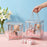 Clear Transparent Gift Box with Frame and Rope Handle for Hampers, Wedding Gifts, Return Gifts, Chocolates, Dry Fruits, Cosmetics, Baby Shower, Festive Gifting & Premium Gift Packaging (21 cm x 21 cm x 21 cm size)