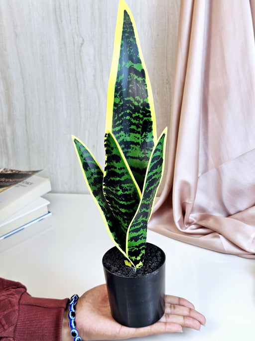 1 Piece Artificial Snake Plant with Pot, Artificial Flower Decoration Plant succulent for Home Decor Item, Office, Bedroom, Living Room, Shop Decoration Items (Pack of 1, Green)