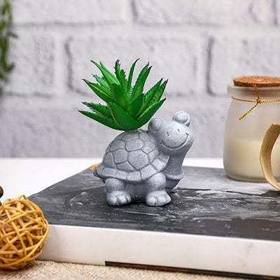 Mini Aesthetic Succulent Plant with Ceramic Cement Tortoise Pot for Indoor,